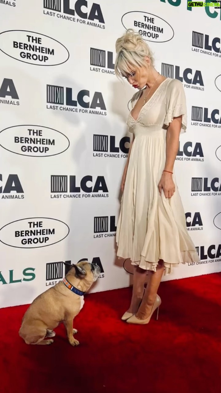 Nicky Whelan Instagram - My fav event of the year @lc4a 40 years of incredible game changing work led by @chrisderoseofficial I love you guys with all my heart. #nevergiveup #animalrescue ❤️