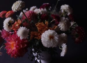Nicole Gale Anderson Instagram - Our last dahlia tuber delivery arrives tomorrow and then all of them will officially be in the groundddd. 🎉 Most excited about them this year because between you and me- dahlias are my favorite. 🤫 #flowerfarmer #organicfarming #seasonalflowers #farmerflorist #womenwhofarm