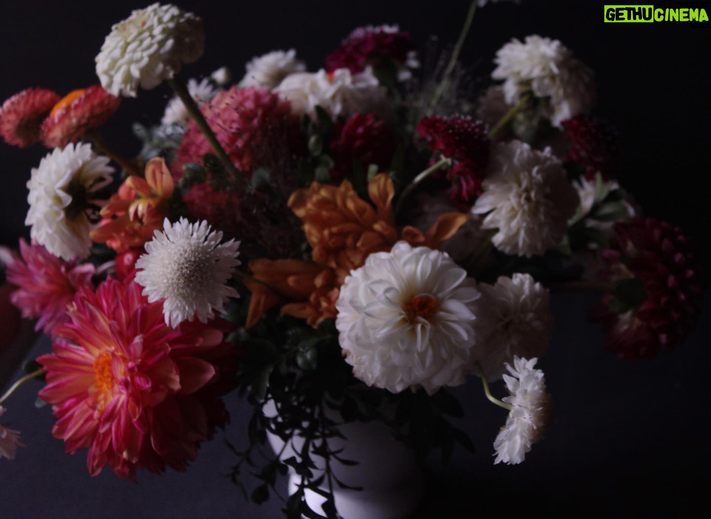 Nicole Gale Anderson - 1.6K Likes - Our last dahlia tuber delivery arrives tomorrow and then all of them will officially be in the groundddd. 🎉 Most excited about them this year because between you and me- dahlias are my favorite. 🤫 #flowerfarmer #organicfarming #seasonalflowers #farmerflorist #womenwhofarm