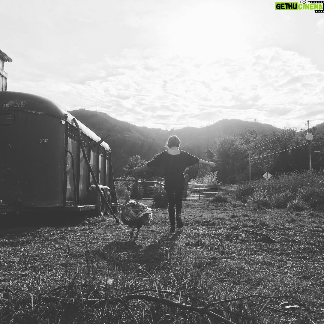 Nicole Gale Anderson - 1.7K Likes - C’mon, Turkey- let’s fly. #animalfriends