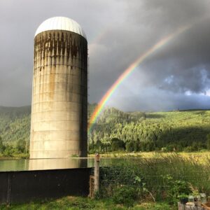 Nicole Gale Anderson Instagram - Dreaming of rainbows and wildflowers at @moonvalleyorganics. So grateful to have enjoyed this view for a month. 🙌🏽 #organicfarming #knowyourfarmer #preservenature #rewild