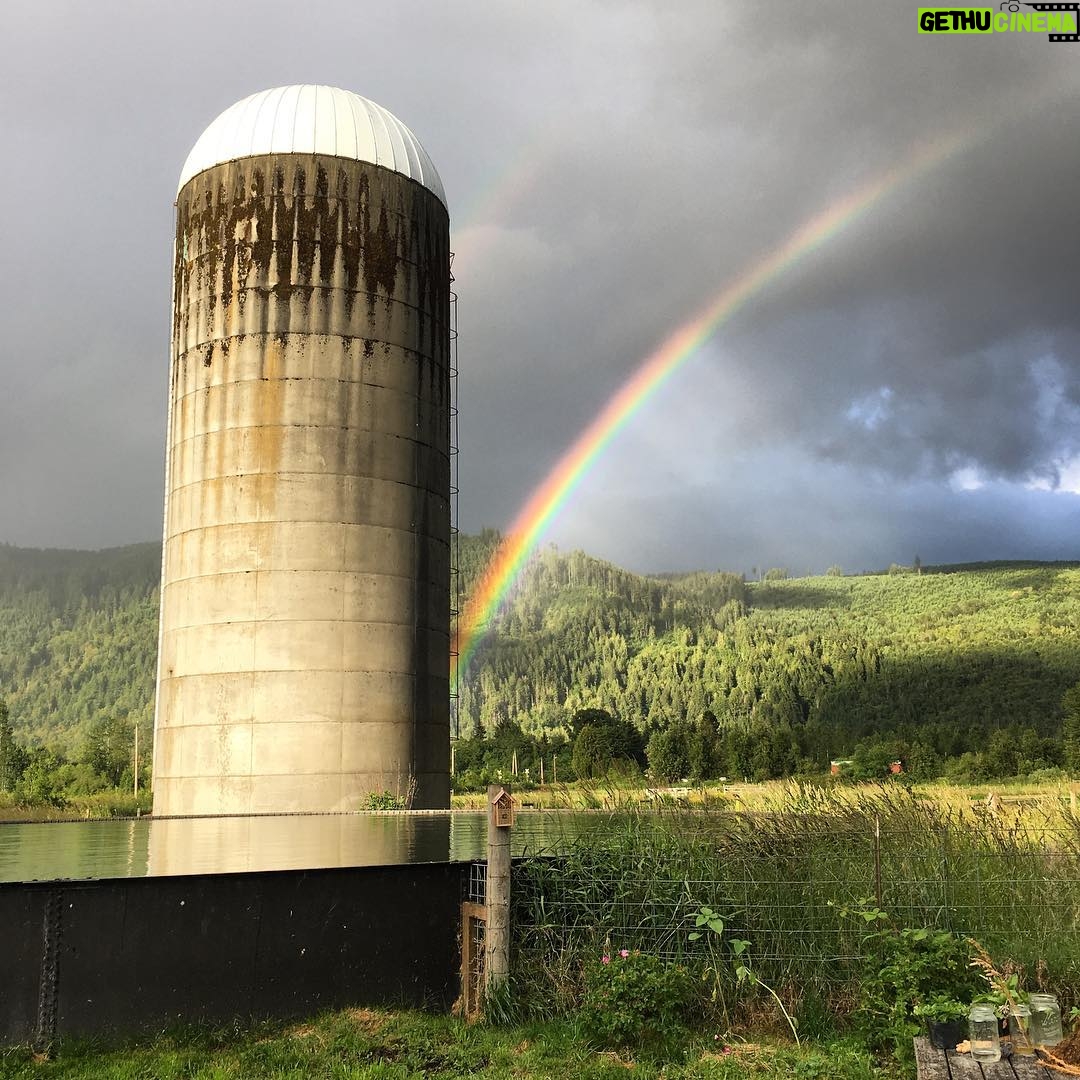 Nicole Gale Anderson - 1.5K Likes - Dreaming of rainbows and wildflowers at @moonvalleyorganics. So grateful to have enjoyed this view for a month. 🙌🏽 #organicfarming #knowyourfarmer #preservenature #rewild