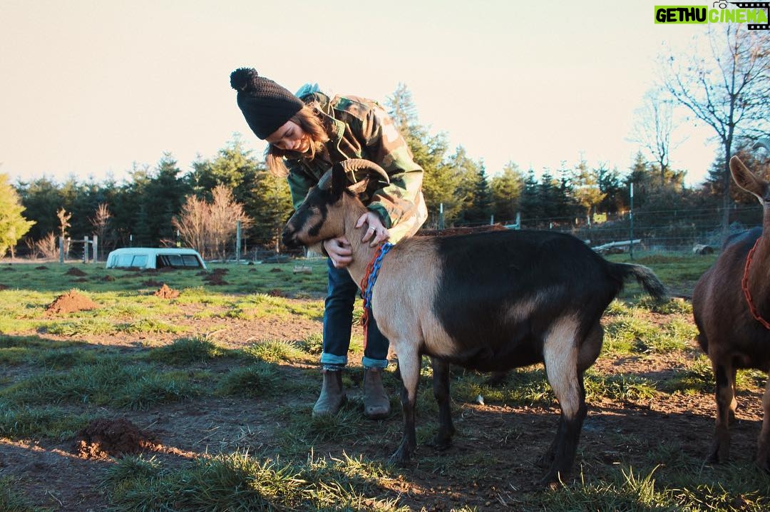 Nicole Gale Anderson - 1.7K Likes - If someone asked me what my favorite animal is, I’d definitely have to go with goats. They’re wildly mischievous, sweet and affectionate, curious, playful and ridiculously comical. If you’re in the PDX area and want to cuddle some baby goats, @fragafarm is having an awesome open farm event tomorrow! Check out their page for more info. What’s your favorite animal? #goat #kiddingseason #supportlocal #knowyourfarmer #compassionatefarming