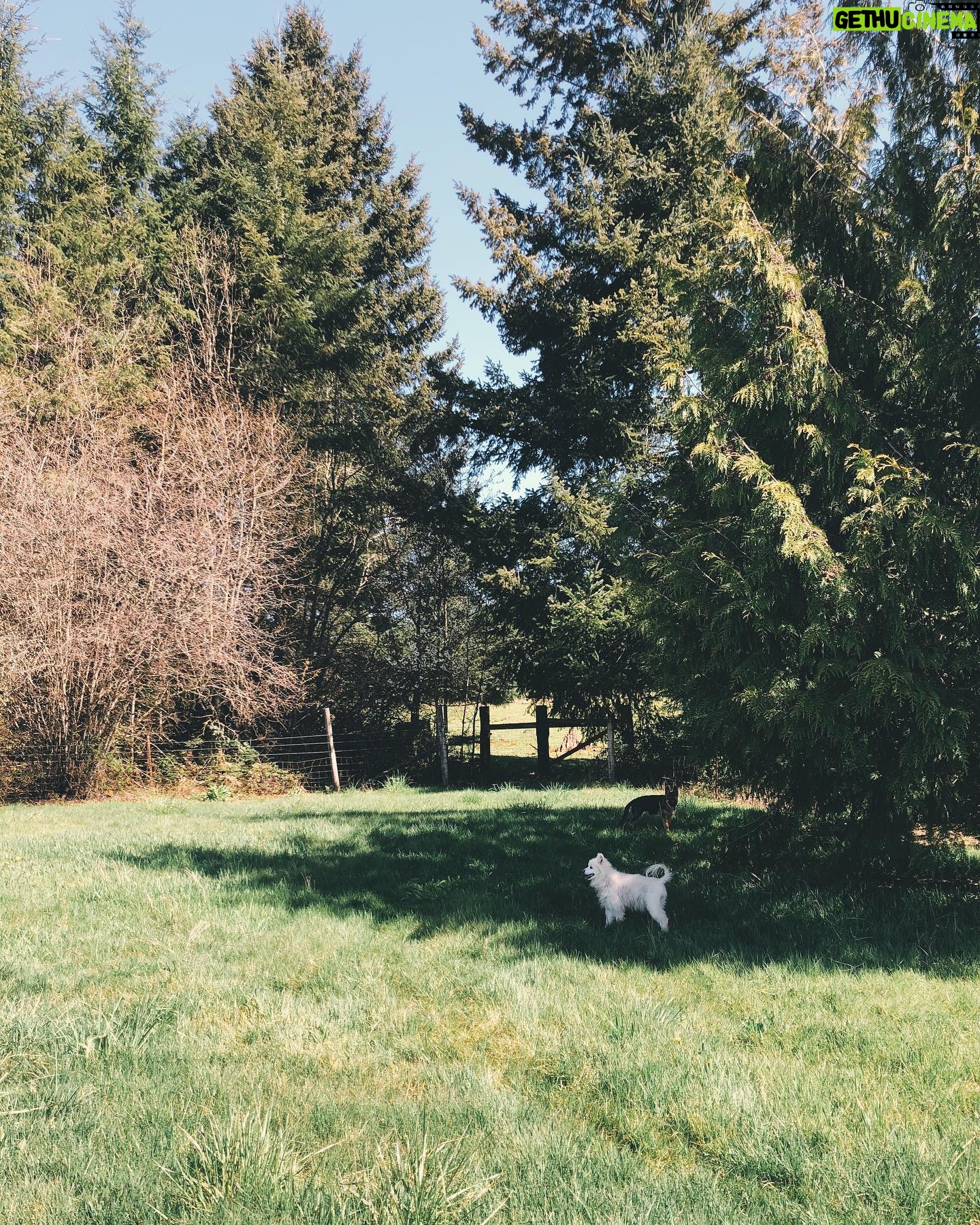 Nicole Gale Anderson - 1.2K Likes - Finding stillness. Finding quietness. Finding peace. ❤️ #farmlife #slowliving