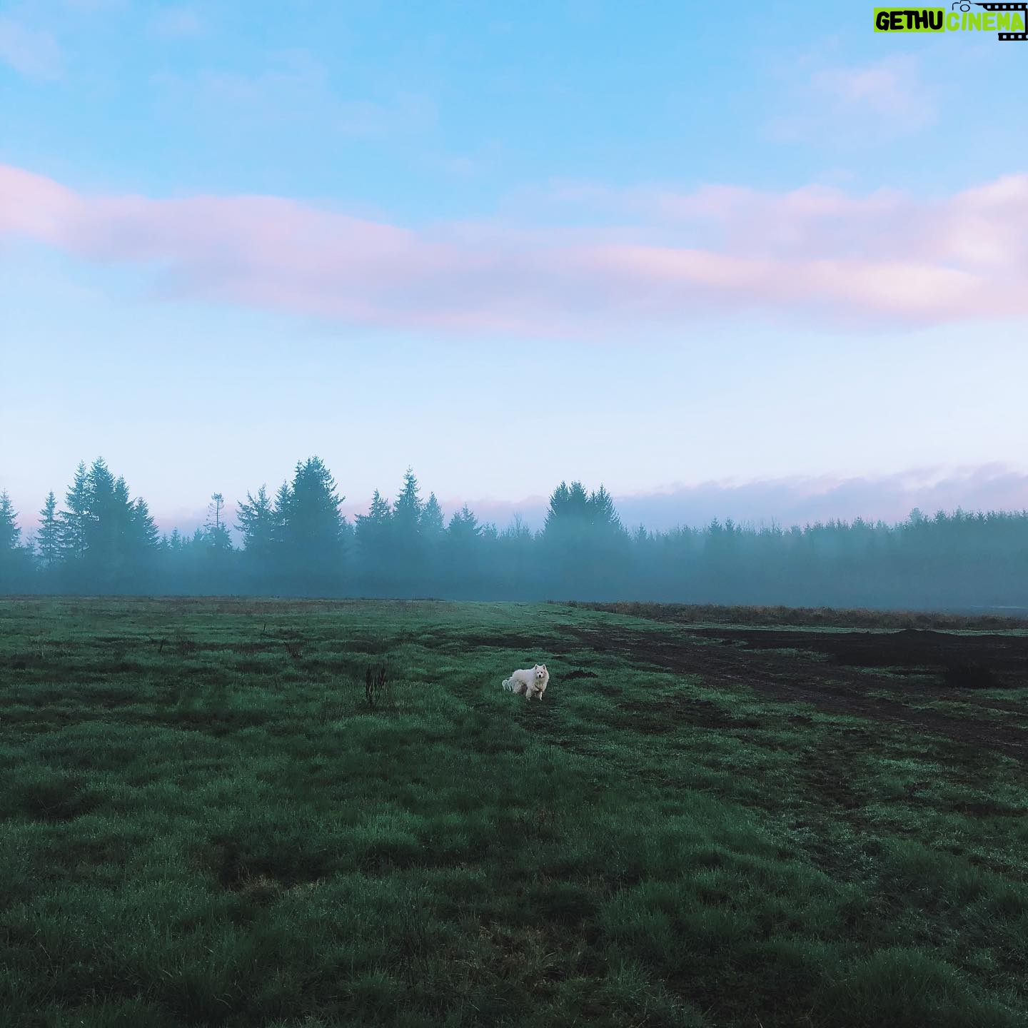 Nicole Gale Anderson - 1.6K Likes - Mornings on the farm with Fen. 💙