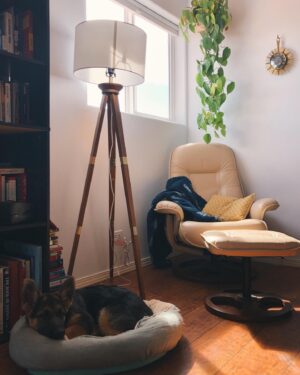 Nicole Gale Anderson Instagram - My reading nook buddy.