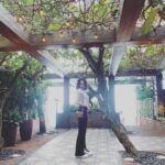 Nicole Ishida Instagram - MarinaBaySands🇸🇬♡ 素敵な場所で 美味しいご飯と 素敵なお部屋で 大満足なステイでした^ ^ #MarinaBaySands #theshoppesmbs #frontrowmbs @marinabaysands