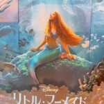 Nicole Ishida Instagram - 『リトル・マーメイド』の試写に招待していただき、鑑賞してきました。 小さい頃からアリエルが大好きで、どんな感じになったんだろうって予告からワクワクしてました。 海の映像、生物の描写、そしてアリエルがすごく可愛かった… そして音楽も映画ならではのものもあり、すごく素敵でした。 アニメーションを観て行ったけど そのままに再現されてて、そして少しプラスの要素もあって大満足でした！ 素敵な海の世界に引き込まれて幸せな時間でした。 そして、素敵なグッズもいただきました...!! みなさまぜひ、観に行ってください^ ^ #アリエルと新しい世界へ　 #リトルマーメイド #PR