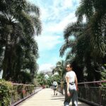 Nicole Ishida Instagram - 🌱🌴🌳🌿🦕 #singapore おもいでたち。