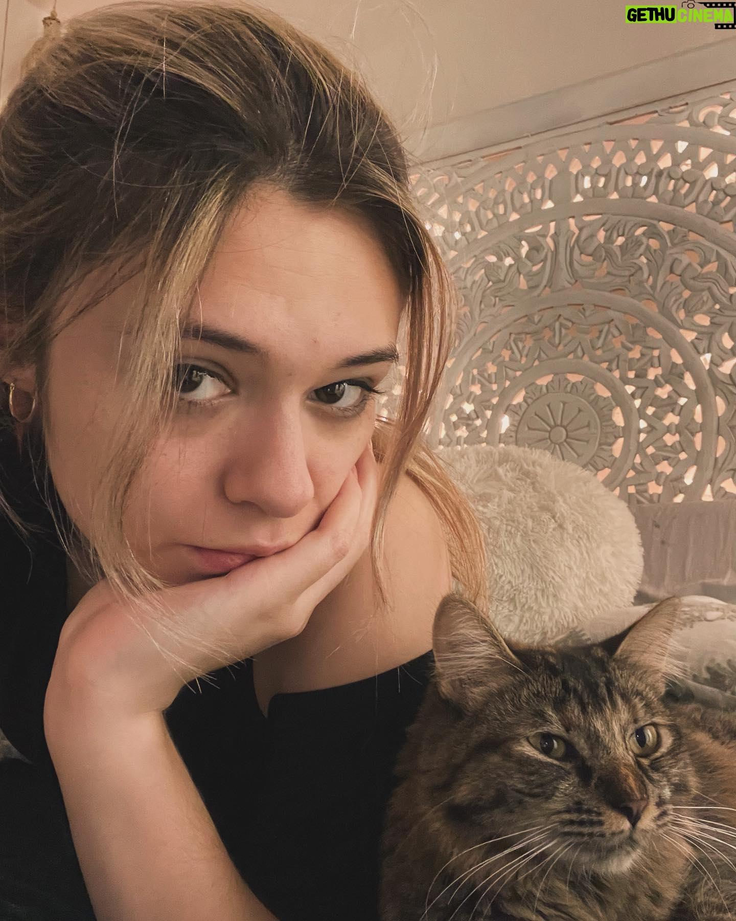 Nicole Maines - 14.3K Likes - Wink 😉