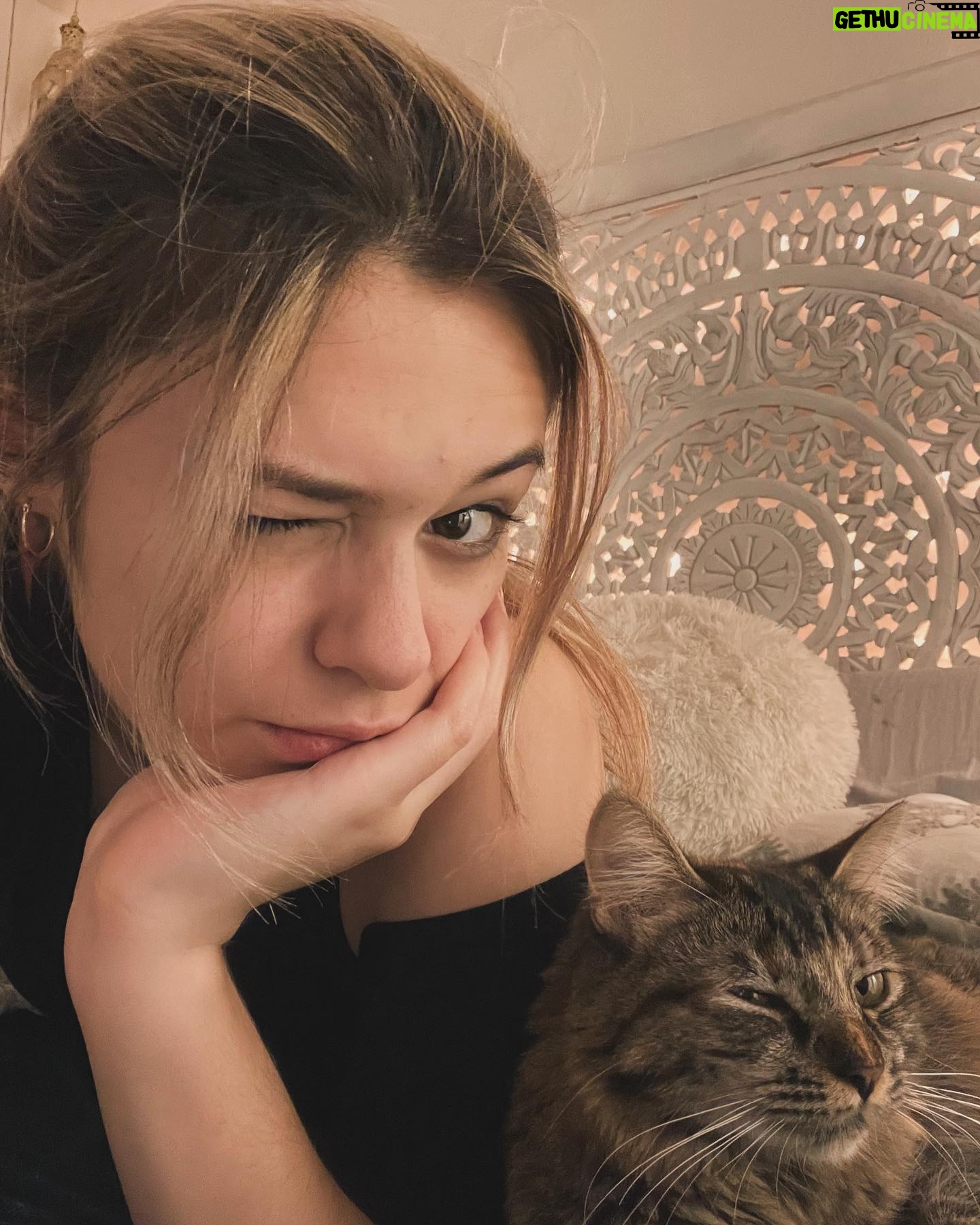 Nicole Maines - 14.3K Likes - Wink 😉