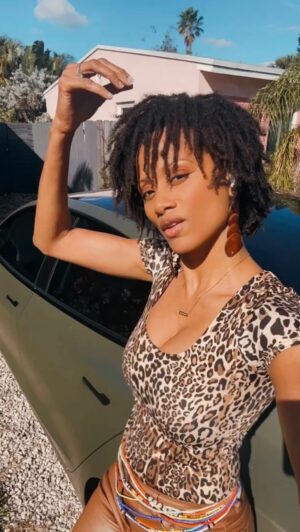 Nika King Instagram - The journey continues 
.
 #7 #months #7months #starterlocs #locs #locstyles #locjourney #locnation #naturalhair #katt #kattwilliams