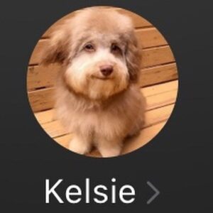 Niki Ang Instagram - talking, laughing, loving, breathing, fighting, fucking, crying, drinking, riding, winning, losing, cheating, kissing, thinking, dreaming