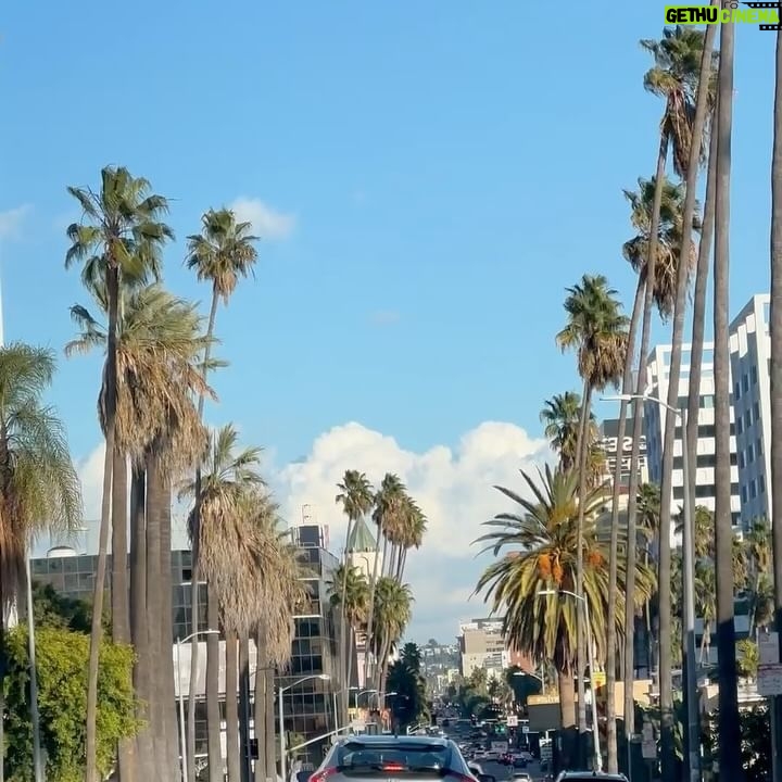 Nikkesha Rangwala Instagram - LA Is definitely the vibe where anything can happen, and the unpredictability is what I dig and live for! 🫶