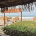 Nikkesha Rangwala Instagram – Goa Dump 💕💡🌴