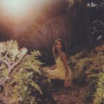Nikohl Boosheri Instagram - meadow magic and film with @avery.jpeg ✨🌱