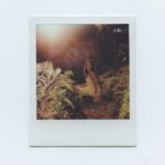 Nikohl Boosheri Instagram – meadow magic and film with @avery.jpeg ✨🌱