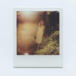 Nikohl Boosheri Instagram – meadow magic and film with @avery.jpeg ✨🌱