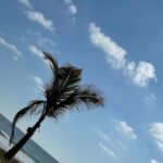Nikohl Boosheri Instagram – Part II – Puerto Escondido 🏝