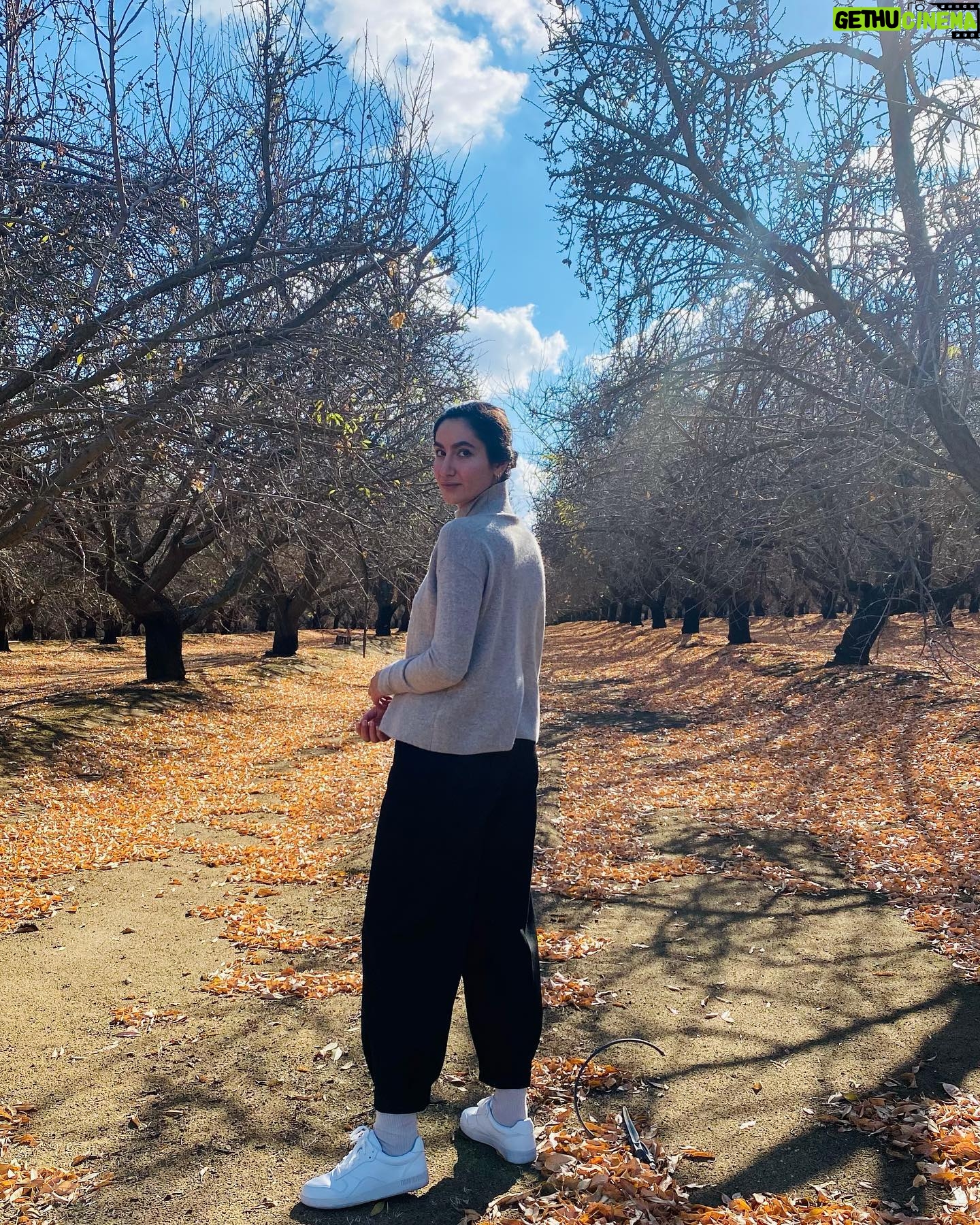 Nikohl Boosheri Instagram - 2021 retrospective photo dump - part 2 ❤️