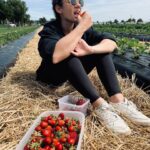Nilam Farooq Instagram - 🍓🍓🙏☀️ - Bester erster freier Tag seit einigen Wochen - ☀️🙏🍓🍓