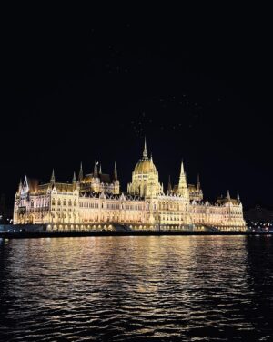 Nilam Farooq Instagram - Budapest dump. 1 szimpla kert 2 danube night cruise 3 market hall freak 4 hungarian specialities 5 thriftstoreing 6 kürtöskalács workshop 7 airbnb gone wrong 8 miles in budapest 9 best wine tasting 10 beer spa