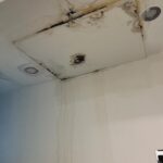 Nilam Farooq Instagram - Budapest dump. 1 szimpla kert 2 danube night cruise 3 market hall freak 4 hungarian specialities 5 thriftstoreing 6 kürtöskalács workshop 7 airbnb gone wrong 8 miles in budapest 9 best wine tasting 10 beer spa