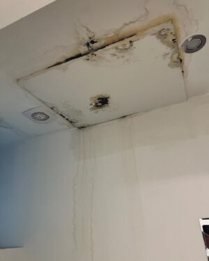 Nilam Farooq Instagram - Budapest dump. 1 szimpla kert 2 danube night cruise 3 market hall freak 4 hungarian specialities 5 thriftstoreing 6 kürtöskalács workshop 7 airbnb gone wrong 8 miles in budapest 9 best wine tasting 10 beer spa