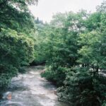 Nimura Sawa