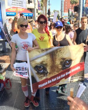Nina Bergman Instagram - Happy Earth Day Today🌎 Swipe👉🏻👉🏻👉🏻
I wanna celebrate some victories I’ve been part of for our fellow earthlings on this special day 🕊️ 
 ✅ South Korea bans dog meat 
 ✅ Fur Free California 
✅ Saint John’s Slaughterhouse shot down and many more!
✅ Animal Cruelty in the US is now a Federal Felony 

Thank you to everyone who’s been part of these fights @lc4a @realegdaily @anthonycaere @moby @thesavemovement @veganclub @geneblalock @animallegaldefensefund @animalalliancenetwork @animalsabove @protect.animals.worldwide @lcaeurope @elaine4animals @animalhopeandwellness @animaliberationfront @elaine4animals @stephaniegerard @animalsavedenmark @missrebeccamink @itsjasonflom @bobbysud @mercyforanimals @peta  @worldanimalnews_  @animal @humanesociety @thehumaneleague & many more💚