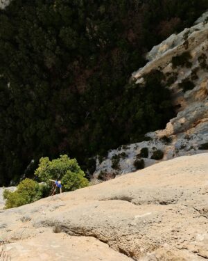 Nina Caprez Instagram - Sometimes it feels good to be back in the good old gypsy climbing lifestyle. Verdon gorges seems ideal! 4 days, 4 climbing routes and classics I had in mind since a while:
« Fete des nerfs, Ula, la demande »

Papa @jeremy_bernard_photography is at work, Lia’s making holidays at grand parents and mama Nina with au- paire @pauline.mhe moving on rocks all day in the sun.
Life is good. Crocs roses for ever!

#multipitchclimbing #verdonwithlove @petzl_official @arcteryx @scarpaspa