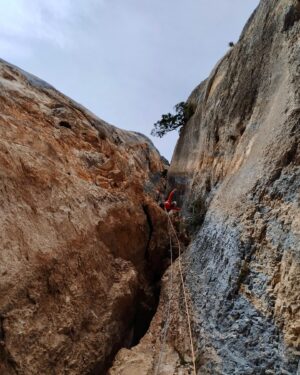 Nina Caprez Instagram - Sometimes it feels good to be back in the good old gypsy climbing lifestyle. Verdon gorges seems ideal! 4 days, 4 climbing routes and classics I had in mind since a while:
« Fete des nerfs, Ula, la demande »

Papa @jeremy_bernard_photography is at work, Lia’s making holidays at grand parents and mama Nina with au- paire @pauline.mhe moving on rocks all day in the sun.
Life is good. Crocs roses for ever!

#multipitchclimbing #verdonwithlove @petzl_official @arcteryx @scarpaspa
