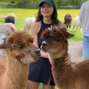 Nina Kaiser Instagram - Heute war der beste Tag meines Lebens 🦙👍🏼