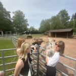 Nina Kaiser Instagram - Heute war der beste Tag meines Lebens 🦙👍🏼