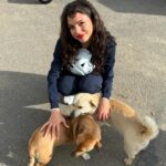 Nina Kaiser Instagram - Mehrere hunde mehrere freunde