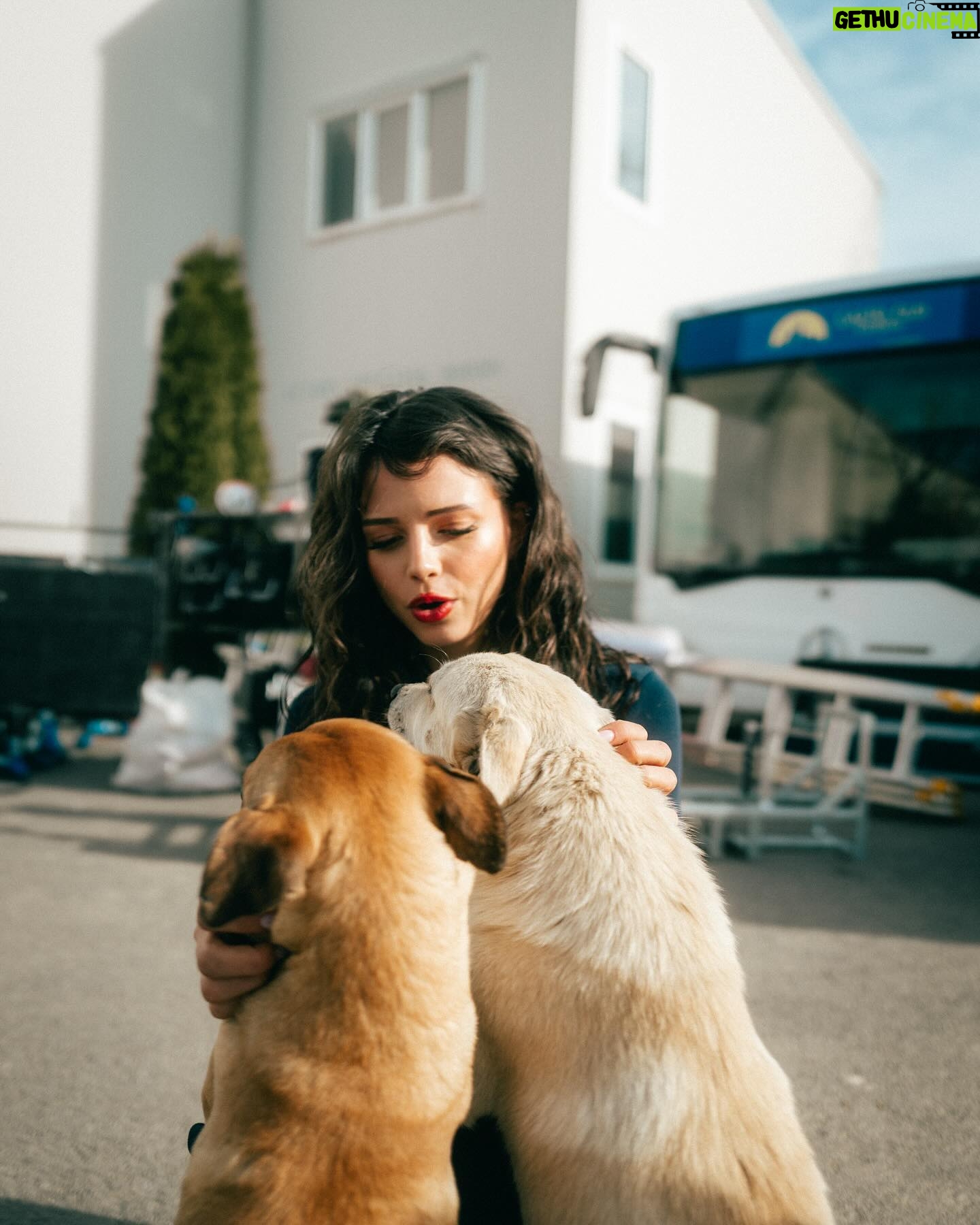 Nina Kaiser Instagram - Mehrere hunde mehrere freunde