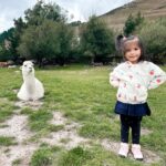 Nina Kozok Instagram - Kiana & her new friend the Alpaca