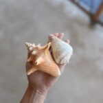 Nina Seničar Instagram - Mexico, eres un sueño 🤍