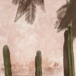 Nina Seničar Instagram - Mexico, eres un sueño 🤍
