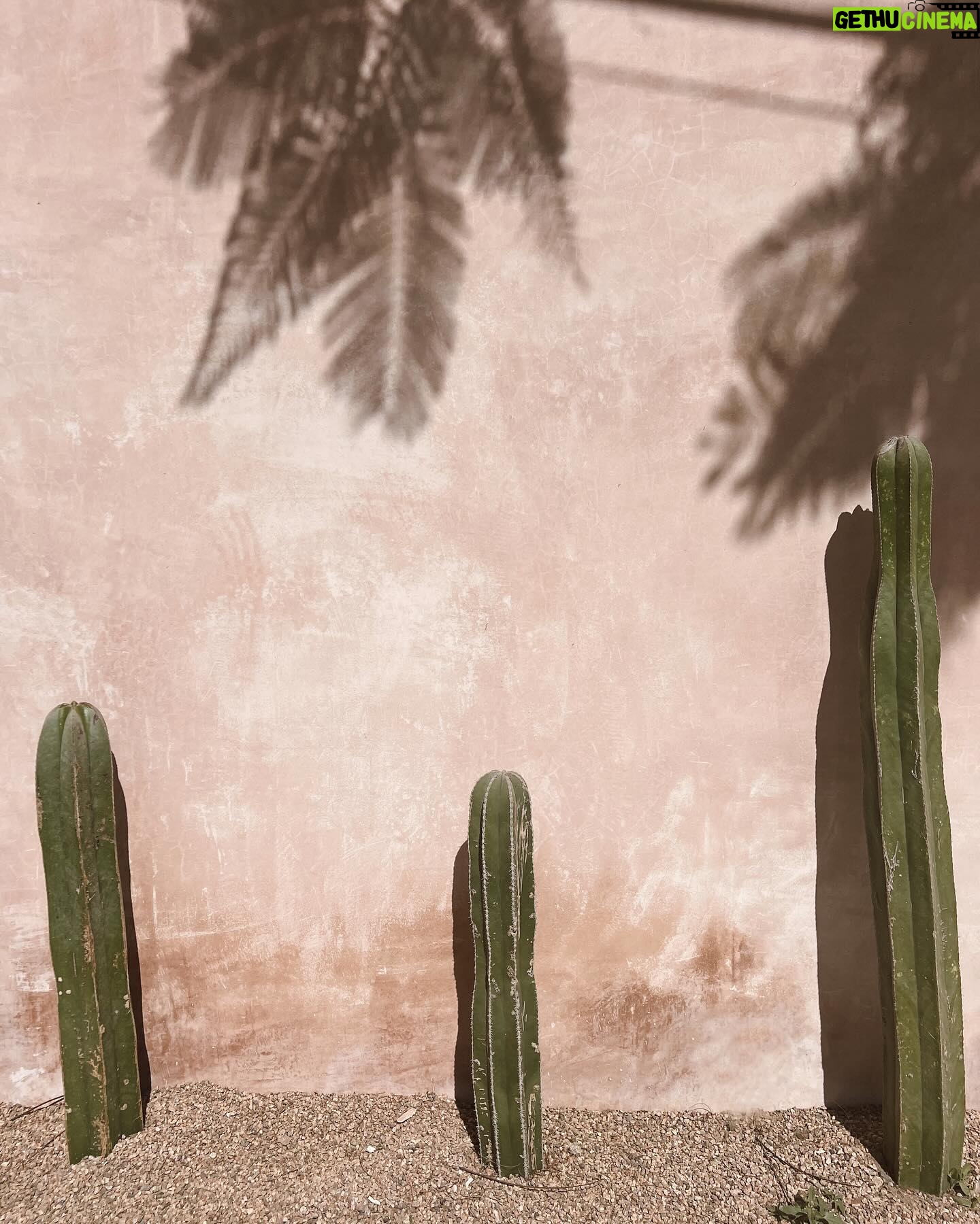 Nina Seničar Instagram - Mexico, eres un sueño 🤍
