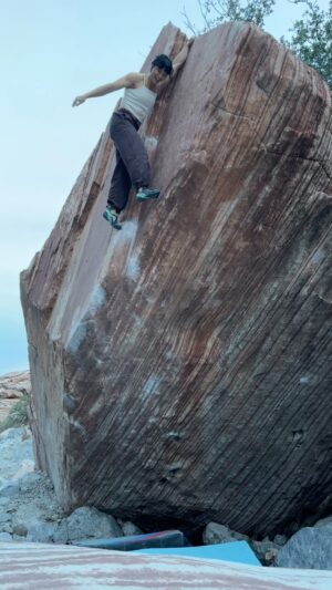 Nina Williams Instagram - 🍋 Meadowlark Lemon Stand (V12) - What a line!! The holds, the movement, the beginning burl and technical top out. Subtlety and a bit of spice. This BP has it all. Last go best go inspired by @prettierfriends’ send earlier in the day 🤩

Cheers to @austinlee1989 for the spots, stoke, and borrowed right shoe @scarpana Instinct Lace Ups; something about that narrow rand did the trick for the heel hook crux. Lesson learned I should just bring my whole Scarpa arsenal out every time.

This boulder suited me pretty well and went down fast (for me, 2 sessions) in that grade range. Now time to return to the projies that don’t suit me quite as well 😅

@thenorthface @thenorthface_climb 
@scarpana 
@organicclimbing 
#climbing #bouldering