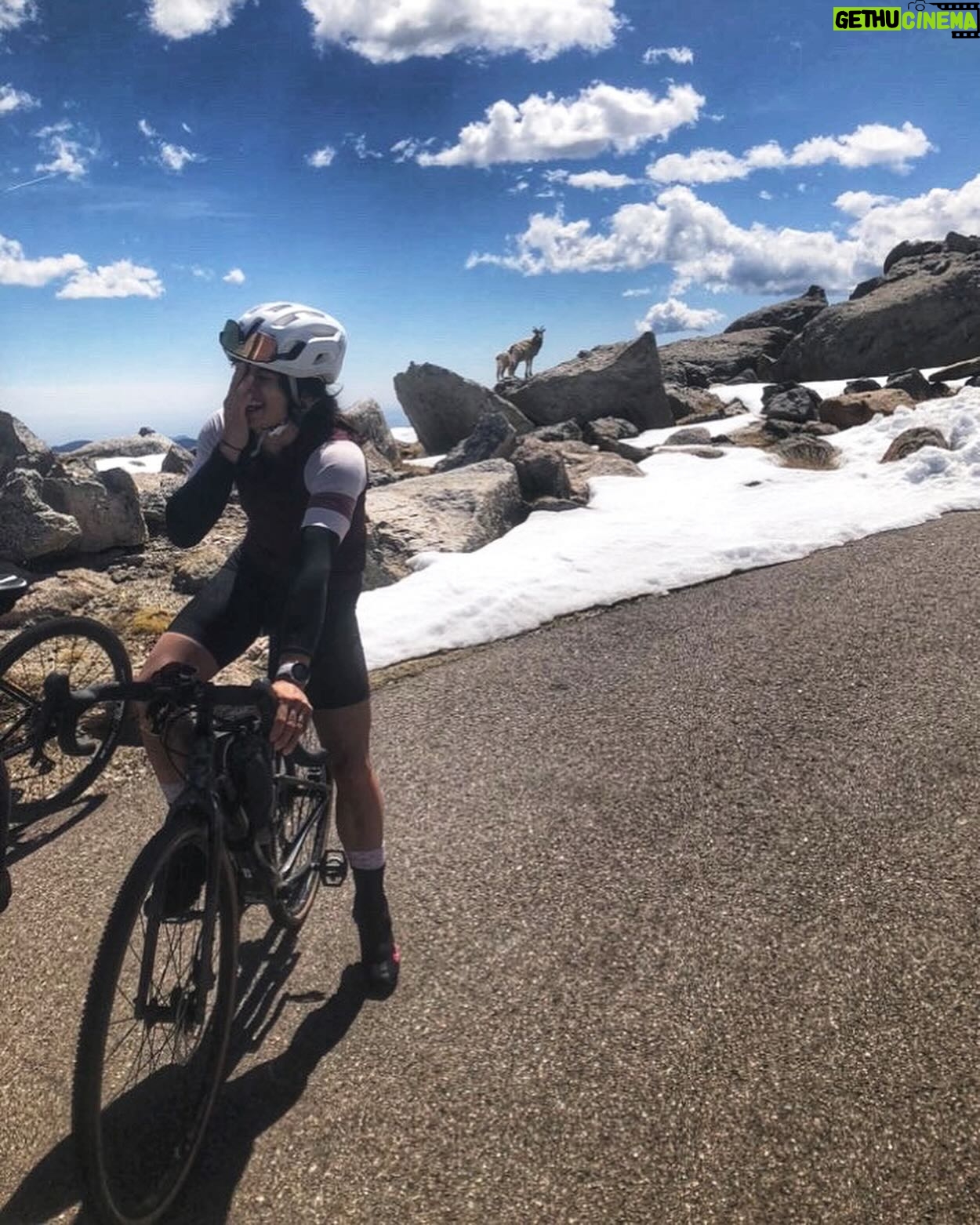 Nina Williams Instagram - Picking up memories from 2023 and asking, does this one bring me joy? If it does not, I thank it and leave it gently behind. The ones that do I carry with me into 2024. Last year started with heartbreak that forced me to give a long, hard look at my self. The ensuing months were filled with big emotions and a scrambling sensation of arranging puzzle pieces with no reference picture. I climbed hard, biked far, travelled the world and had some hilariously unhinged experiences with new people while deepening friendships with those already so dear to me. I’m still filling in the puzzle. These are some pieces I’m bringing into 2024. Thankful for my friends and family for making last year’s memories so bright 💛 Let’s make this year a work of art! 🌄 Photos from @jordi.llauvi @francoislebeau @bobbysorich. @thenorthface_climb @scarpana @organicclimbing