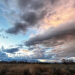 Nina Williams Instagram - When Vegas got rained out, I considered the extra four hours to Bishop. The forecast wasn’t much better and I’d only have a week. My remaining projects are a little too hard and/or involved for such a brief stint. Colorado promised a shorter drive and return to normalcy, routine, and comfort. But something pulled me West - I figured I’d at least get to hang on the Swarm holds as a reminder of what I’m training for. Those reminders were in full effect, re: dry-firing off Haroun while trying yet another alternative beta sequence 😅 But the best reminders weren’t about training or projects. They were always about the people. The Bishop community continually points me back towards my values: connection, courage, making a difference where I can. I was reminded of my capacity for deep feelings and desire for long-term groundedness; two things that have felt far away lately. I’m starting my 14hr drive back to CO feeling re-embraced and recharged. I have my Eastern Sierra friends to thank. Looking forward to the next visit and catching up with everyone I missed this time around! Special thanks to @andyliu84 for the hospitality 💛 Our rice tea talks are high on the list of reasons to return sooner than later. Another big thanks to @davidhlin for being my Fall Guy 😂🙌🏼 Big love Bishop ❤️❤️ and Happy Birthday Ethan lol 🥳👑 #climbing #bouldering #buttermilks