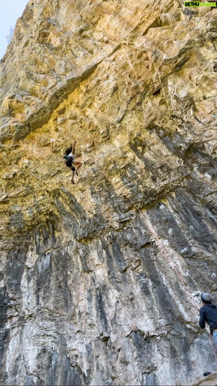 Nina Williams Instagram - Just a few 😮💨 of my falls off the crux of Wacka Flocka. This stab move is low-percentage and the couple moves after are still hard. I’ve felt close (linked from below where I’m falling all the way to the top like 7-8 times) but this move… this move from the bottom!! That’s pretty much how it goes. You stick it or you don’t. You keep it together or… not. I usually keep it together while projecting but this one definitely ripped some screams out of me after I’d already fallen 😅 I’m disappointed I couldn’t pull it off AND I’m also happy with the time and effort I squeezed into this route. It pulled me back into the canyon when I hadn’t even planned on getting an annual pass this year. Happy I still got a small season in with my favorite kneebarring, bloc-hugging, beta-obsessive community. Cheers to the catches, encouragement, and dance parties at the base of Projie Wall 💛 Now I’m off on a two-month travel bonanza! First stop ➡️ Shanghai, China 🇨🇳 Pretty excited for this next adventure but I’m already missing my Colorado fam. See ya on the other side of the world! @thenorthface @thenorthface_climb @scarpana #climbing #sportclimbing #riflecanyon @rifle_climbers