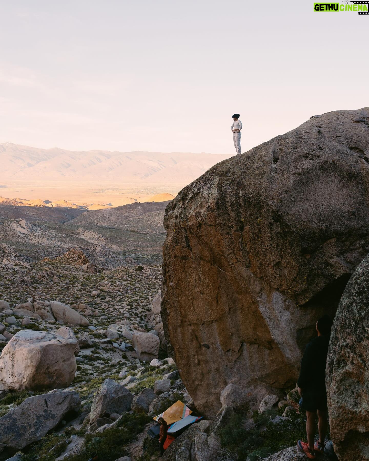 Nina Williams Instagram - Another shot of The Air Up There & more vibe photos from my second half of Bishop. New boulders, spring blooms, garden parties, Charlie in the Milks, and… Olivia Rodrigo?? 🤍🎶 Always finding excuses to stick around this magical place. But now it’s back to Colorado 🏔️ Stoked for some home routine. See ya later Bish! Pic 1 @cody.kaemmerlen Pic 5 & 9 @eric_fallecker @thenorthface @thenorthface_climb @organicclimbing @scarpa_world #climbing #bouldering #buttermilks