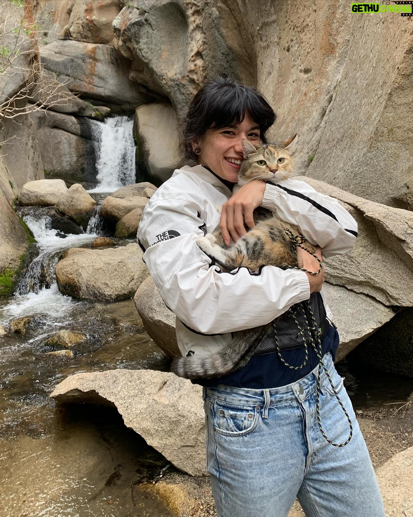 Nina Williams Instagram - Another shot of The Air Up There & more vibe photos from my second half of Bishop. New boulders, spring blooms, garden parties, Charlie in the Milks, and… Olivia Rodrigo?? 🤍🎶 Always finding excuses to stick around this magical place. But now it’s back to Colorado 🏔️ Stoked for some home routine. See ya later Bish! Pic 1 @cody.kaemmerlen Pic 5 & 9 @eric_fallecker @thenorthface @thenorthface_climb @organicclimbing @scarpa_world #climbing #bouldering #buttermilks