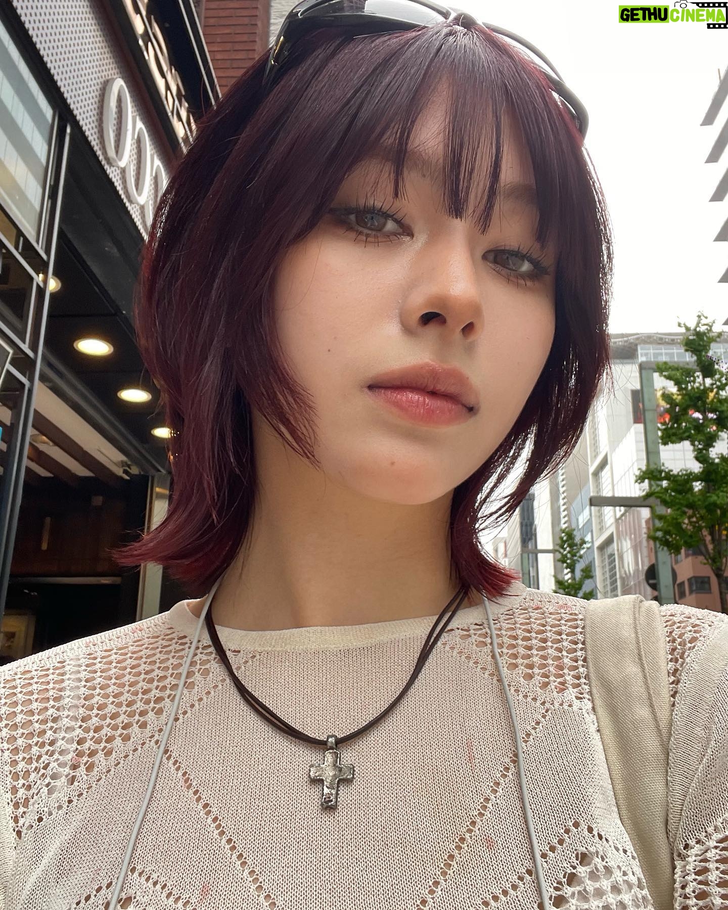 Ninon - 49.5K Likes - 💹