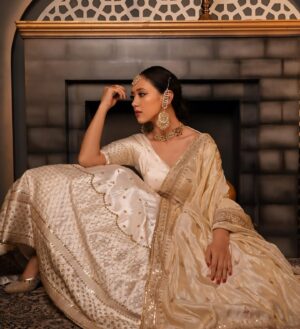 Nirisha Basnett Instagram - #heeramandi fever ✨
@the_adhya_designer @label.adhya 
@makeover_by_adhya @yashvi_makeover14 
@sagarfilms194 @s3.mumbai 
✨