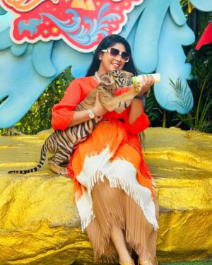 Niyuktha Prasad Instagram - Feasting my Baby Cub🍼🐯🐅

#bangkok #thailand #safari #tiger #cub #baby #love #nature #vacation #mood #explore