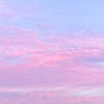 Noa Tsurushima Instagram - Someday, in my dream